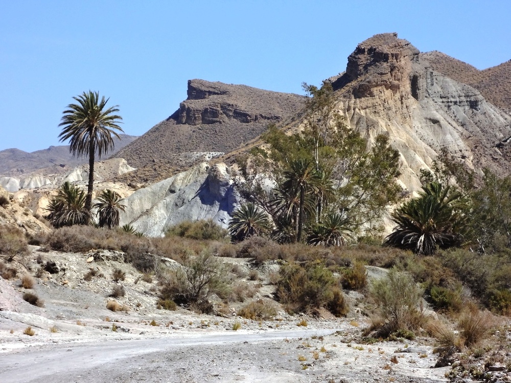 tabernas-sept2012-42.jpg