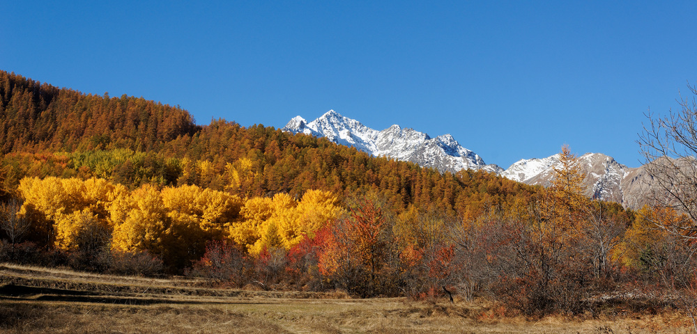 DSC03549_DxO_pano.jpg