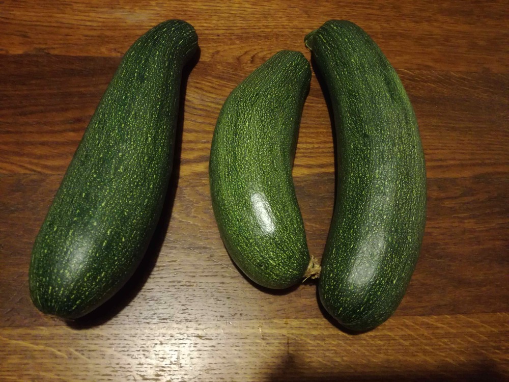 courgettes.thumb.jpg.4a9967805fc83e2d4593cceaeb983d73.jpg