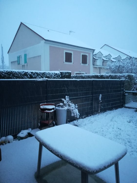 Neige 05-02-18.jpg