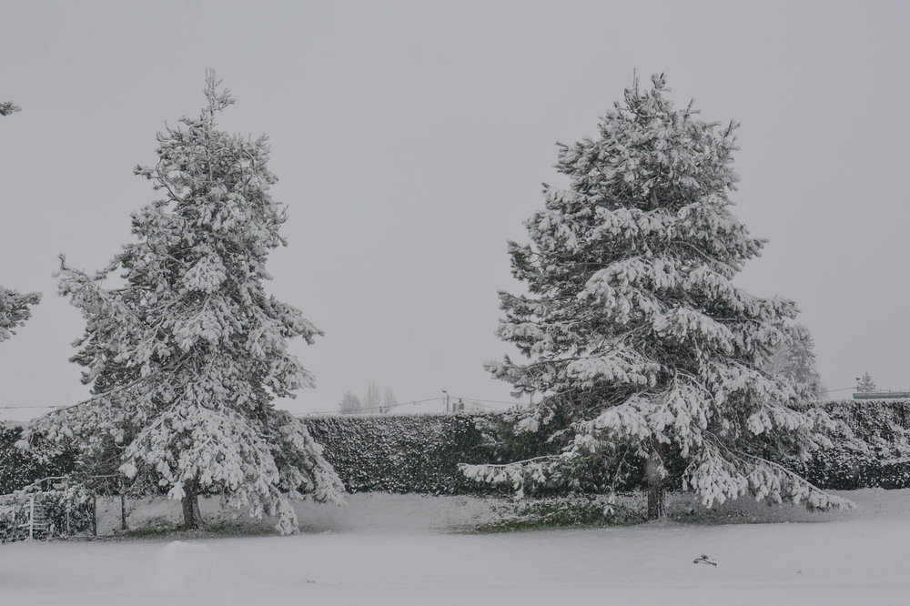 neige février 2018-7479.jpg