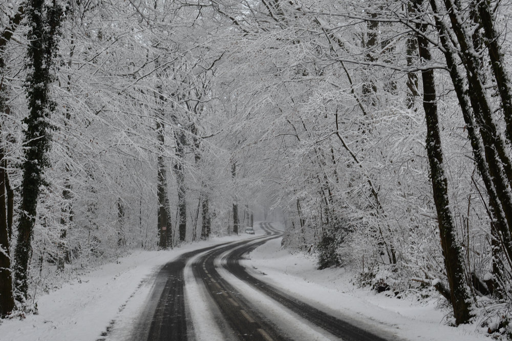 neige février 2018-7574.jpg