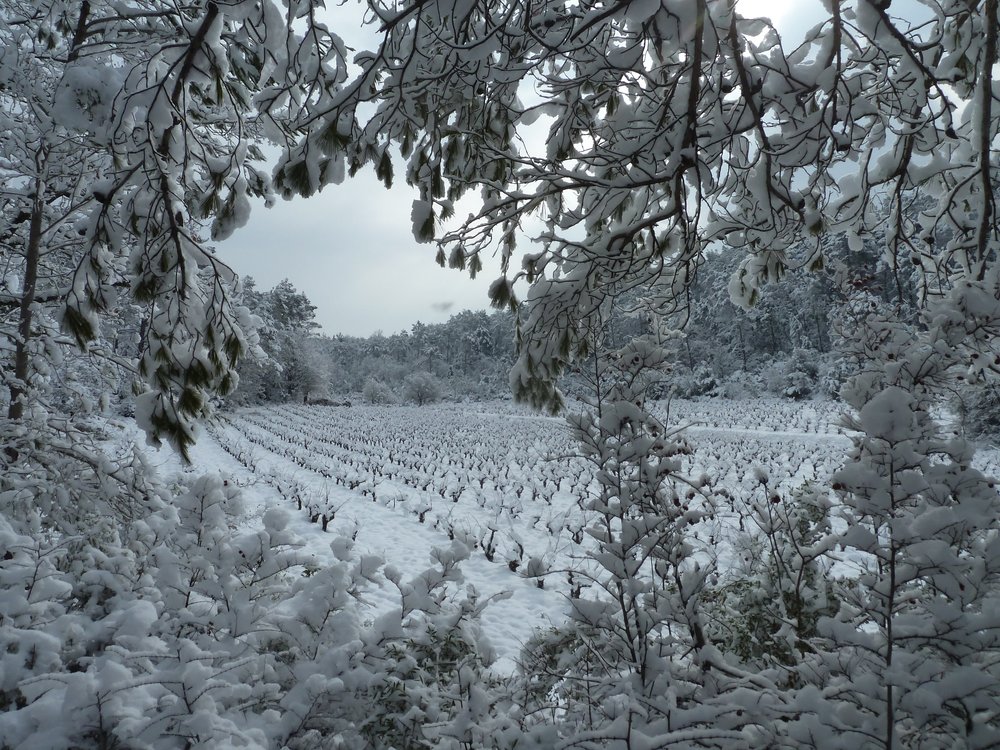 Neige Brignoles 2.JPG