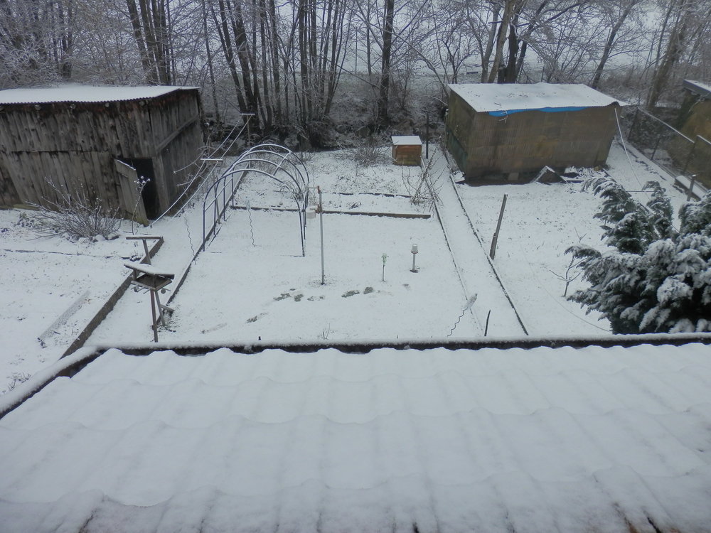 P2170188.JPG