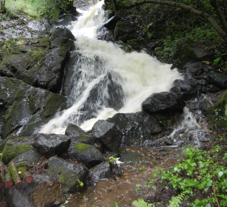 Cascade.jpg.fe98ed885ee122c8c5e7572d7858920d.jpg