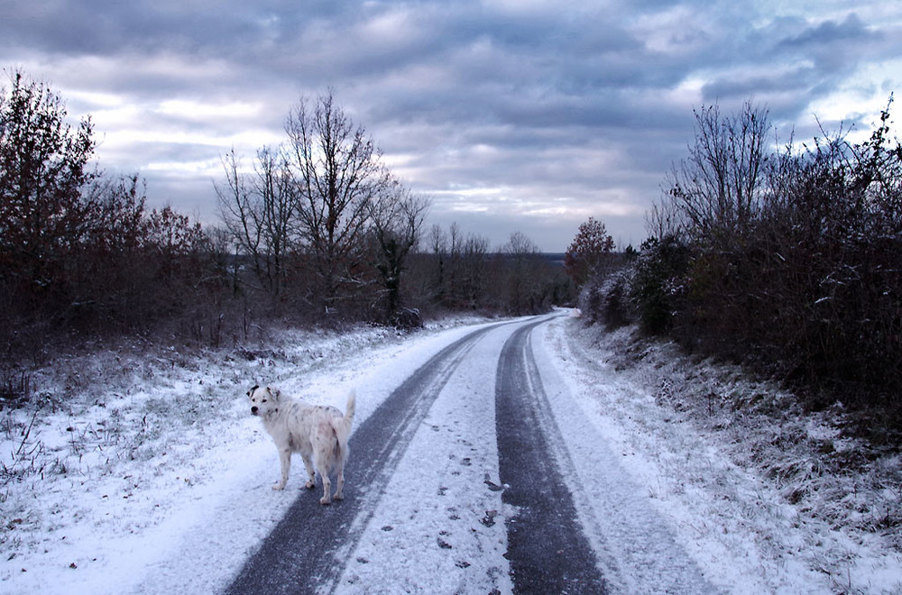 neige-20190124-4150-Dunlop-1024.thumb.jpg.8f4c572223b1126b15e8dc8293307156.jpg