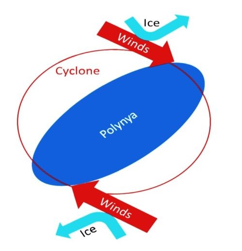 polynie-vent-e1556378056192.jpg.0ead334b660601fd636181a7cc7980aa.jpg