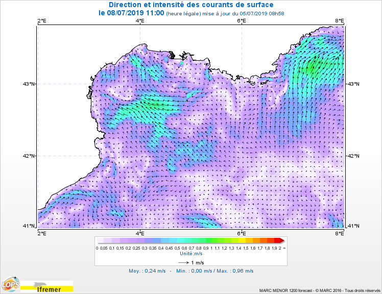 Courants_Carte-2D_Surface_Golfe-du-Lion_20190708-1100.png.741f849b1a93feac562e8fe331b628a5.png