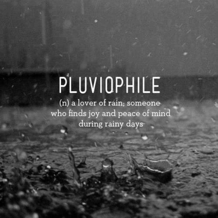 Pluviophile.thumb.jpg.d9a703a4a0825ba3c503a0693d09dfdc.jpg