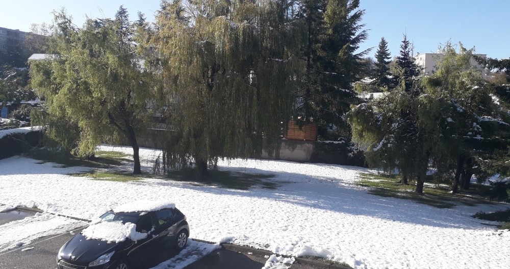 Neige à Terrenoire 15.11.2019 32.jpg