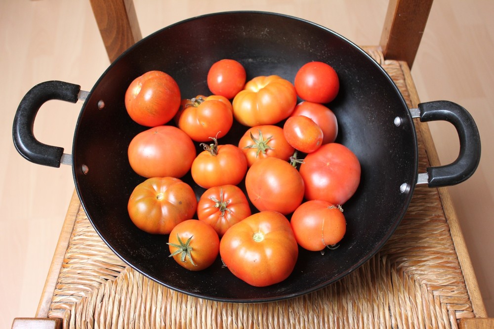 Tomates serre 12 novembre 2019 (3).JPG