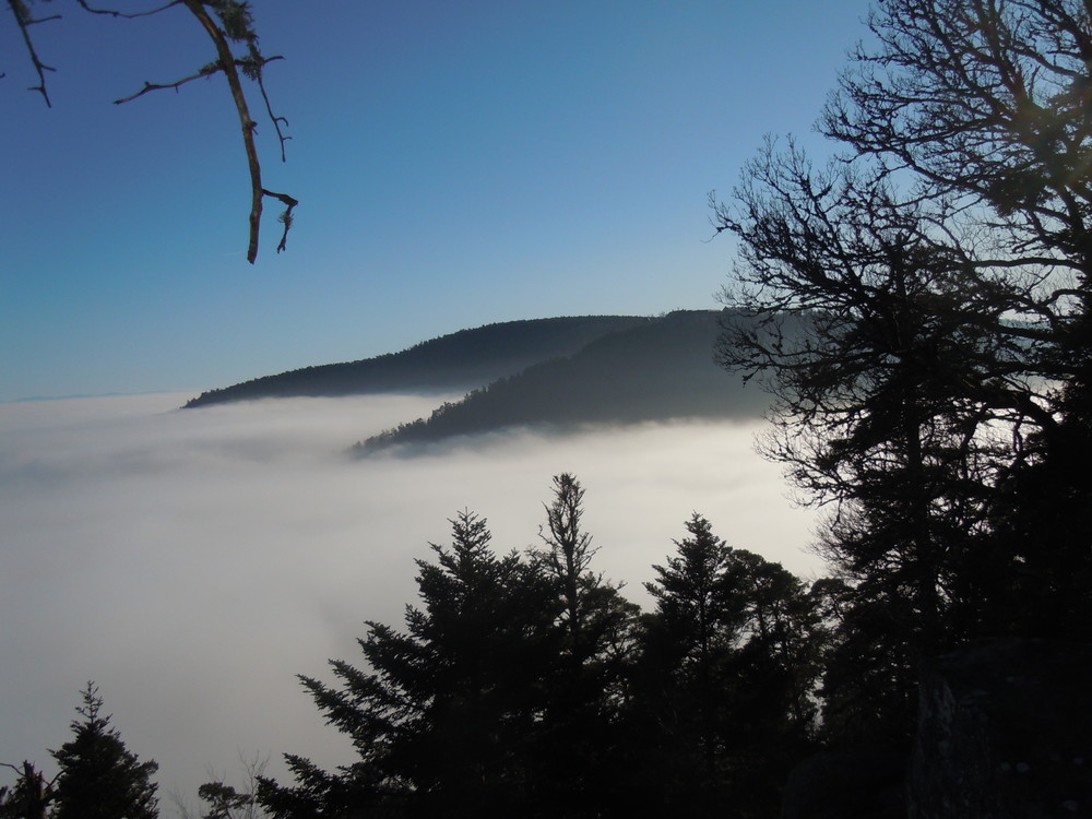 DSCN4596.thumb.JPG.ac4158591099a9836f727b77b431b45c.JPG