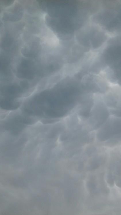 1604261379_mammatus12_08.thumb.jpg.a10298f375116e6a6050158052127d62.jpg