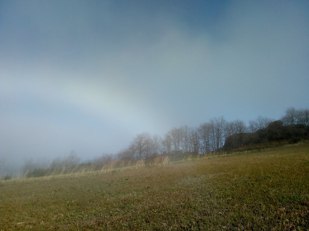 White-Rainbow (3).jpg