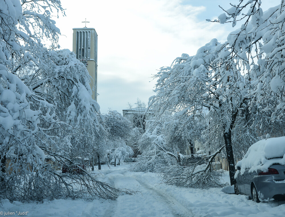 neige 15 Janvier-15.jpg