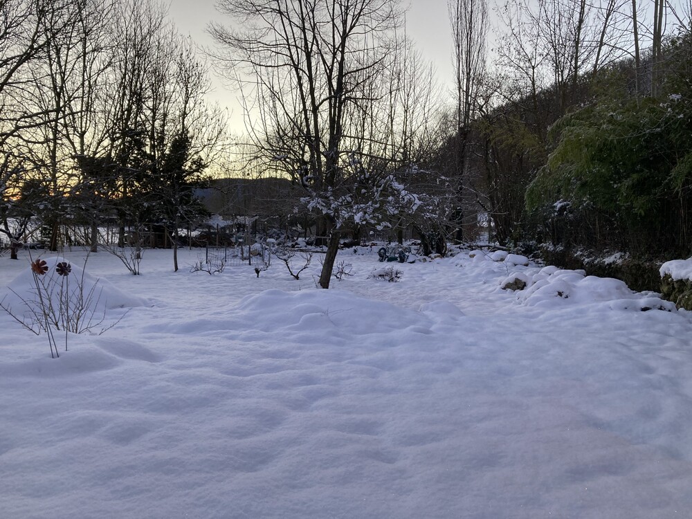 neige31.thumb.jpg.d0d7ddc6cd8ed2b3fb0f32f1c470bc82.jpg