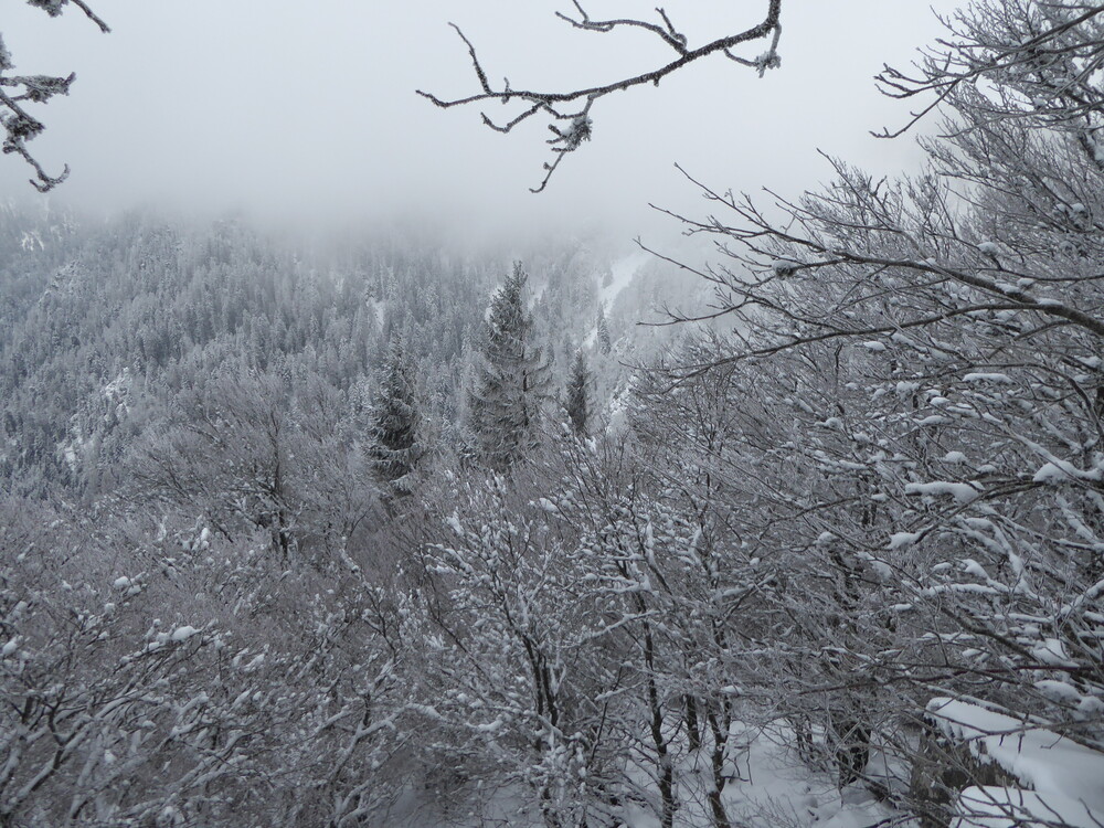 ravins_schlucht.thumb.JPG.16d0430462c543a28d80ebba7c12d571.JPG