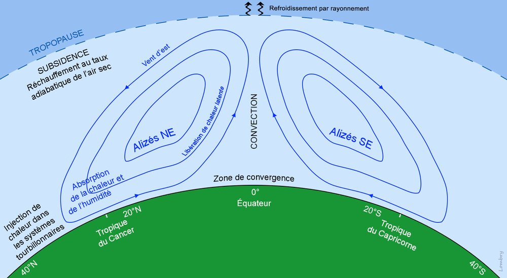 regime-tropical-alizes.thumb.jpg.2f2d03dca95266c26a01447b1ce09fff.jpg