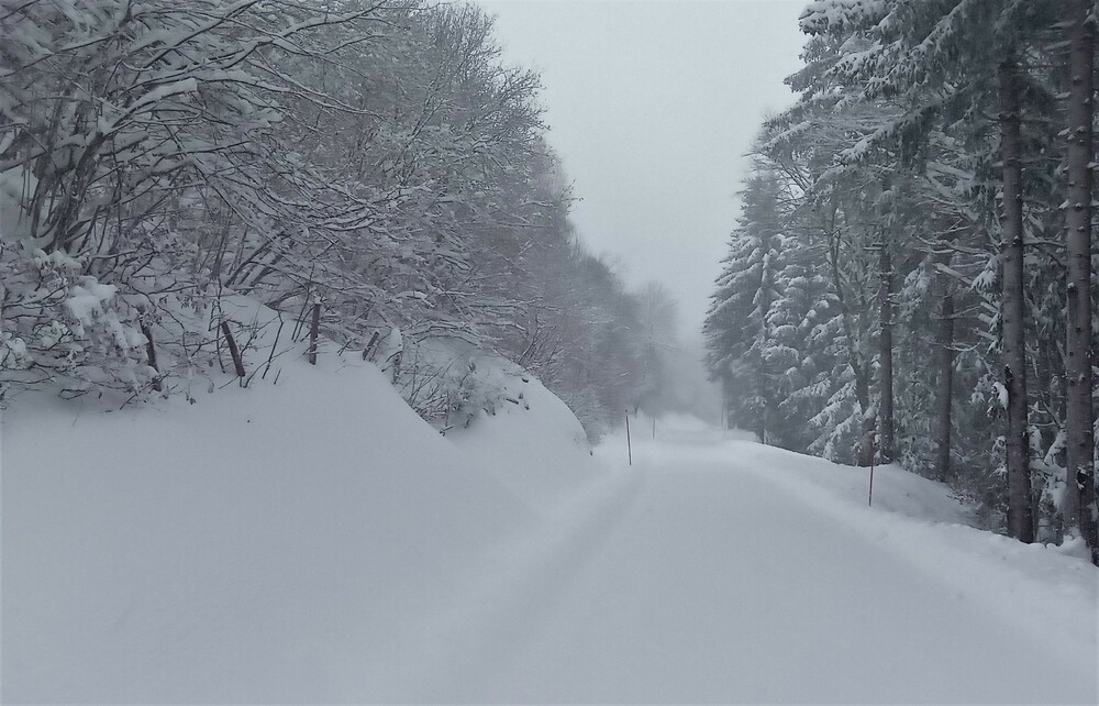 Près du Col de Légal 28 nov 2021.jpg