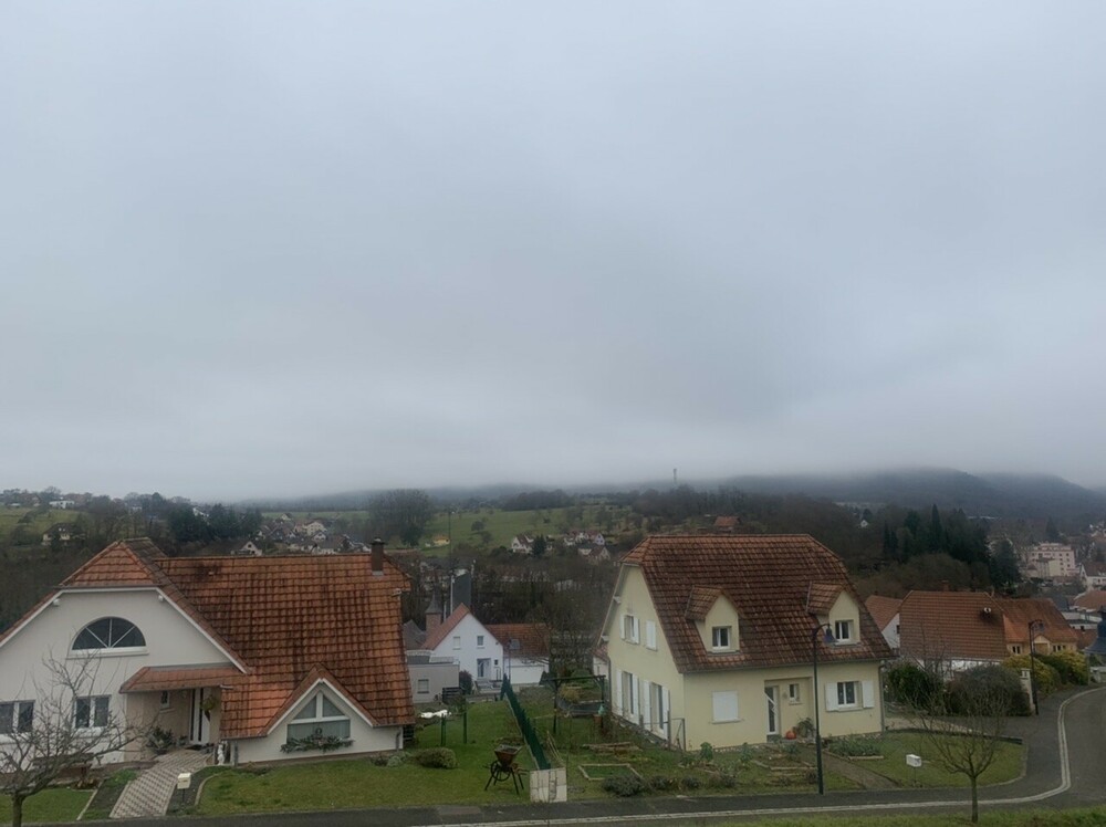 95450DA1-E144-4191-BFEF-6824733C3852.thumb.jpeg.485fd8abaaafc37f90b79f2dd58436e2.jpeg
