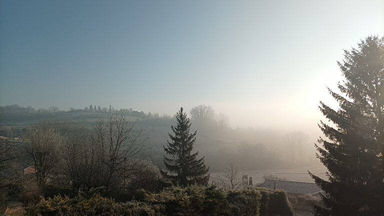 brouillard.jpg.1b7d33e3a447e49fc838981329d367a9.jpg