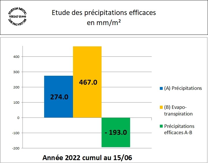 361965212_prcipitationsefficaces2022.jpg.83a0325d9c4276126850325957b4a10e.jpg