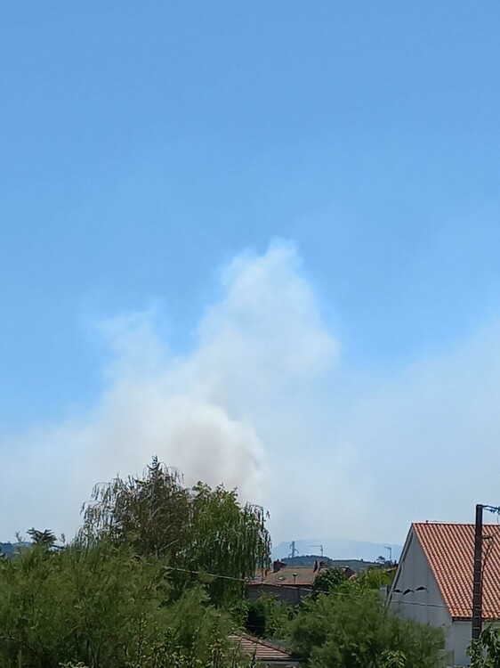 Incendie 18-07-2022.jpg