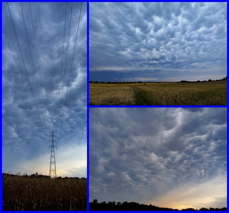 MAMATUS-2.jpg.774f3232eea3fdbd61731b60aaebb1e0.jpg