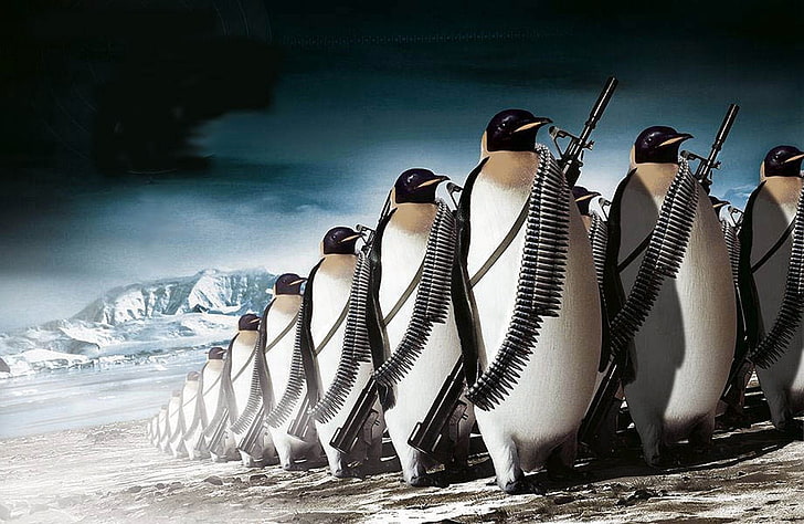 military-other-ice-penguin-wallpaper-preview.jpg.95a7d19d4ffc3929fd84931377d417a4.jpg