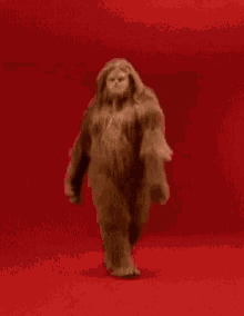 walking-into-my-wax-appoinment-hairy.gif.51c72a8f4d79620f4750683925ea1682.gif