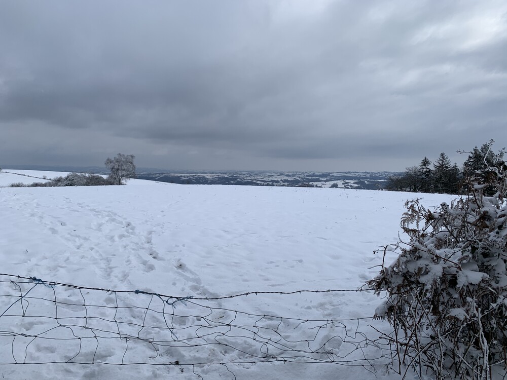 3172C5AC-D716-4F46-AF2C-30654CEA6A21.thumb.jpeg.0901aaf68d51ed92aec070a38d8c0bde.jpeg