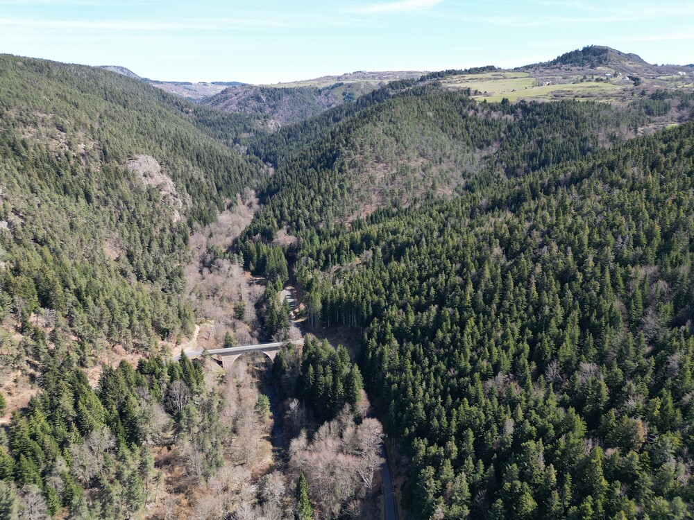 DJI_0306.jpg