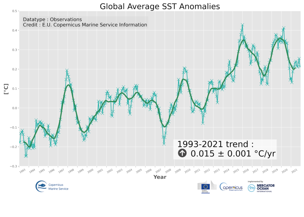 GLOBAL_OMI_TEMPSAL_sst_area_averaged_anomalies-hq.thumb.png.92b84810a6df67d6de11e1855f302684.png