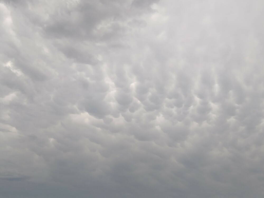 mammatus16_08.thumb.jpg.b3919fd89fd3040afbff95db8d2a6573.jpg