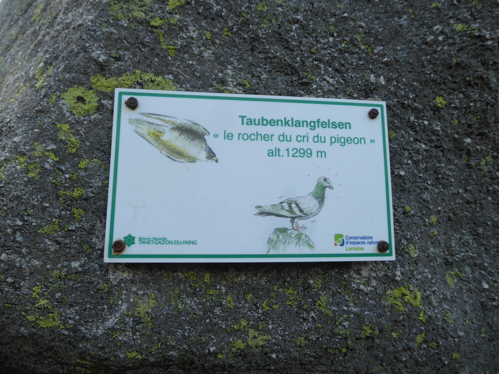 taubenklangfelsen_panneau_1299m.JPG.thumb.JPG.f0603a1ed1ef8d5bd03841f6f9e20cdc.JPG