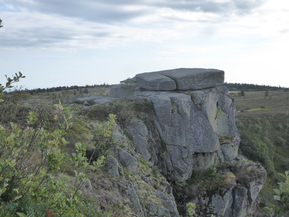 taubenklangfelsen_rocher.thumb.JPG.7cd8b0e6c1a7b4246d060f7d34752256.JPG