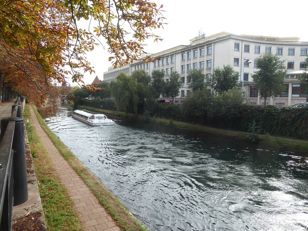 bateau_mouche_strasbourg.thumb.JPG.b9987bf33f8fd5301c14415a05b149c3.JPG