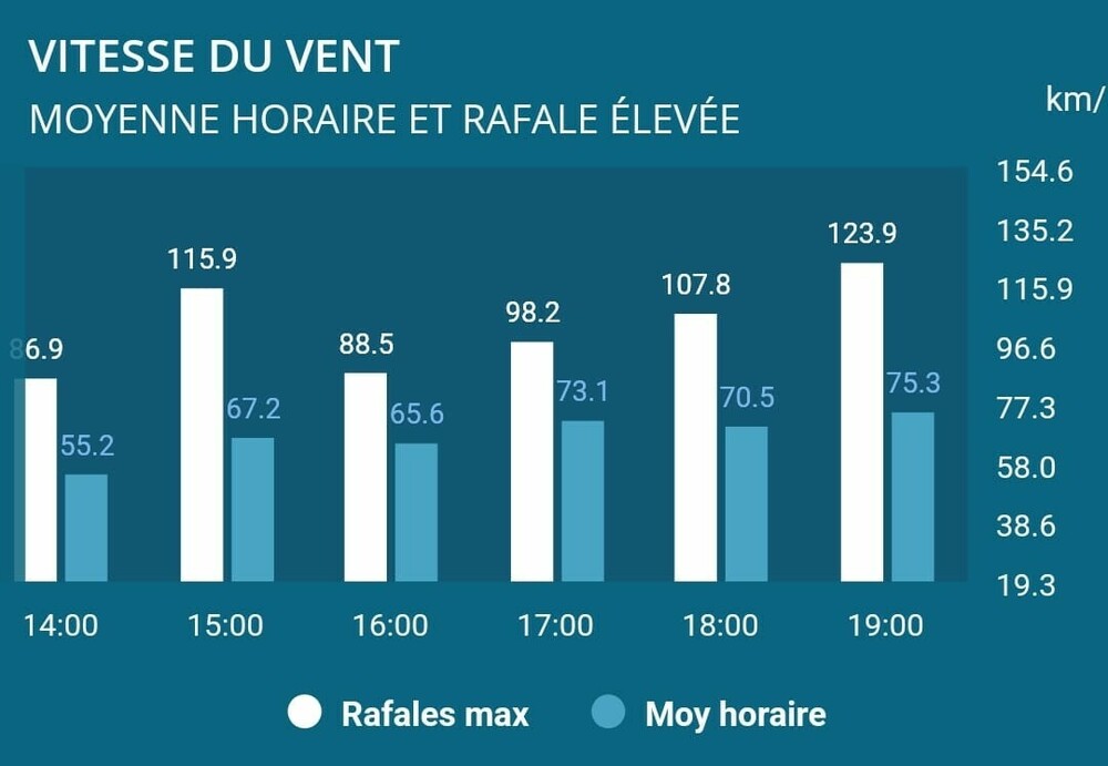 WhatsApp Image 2023-11-04 à 19.46.26_a0b22f6a.jpg