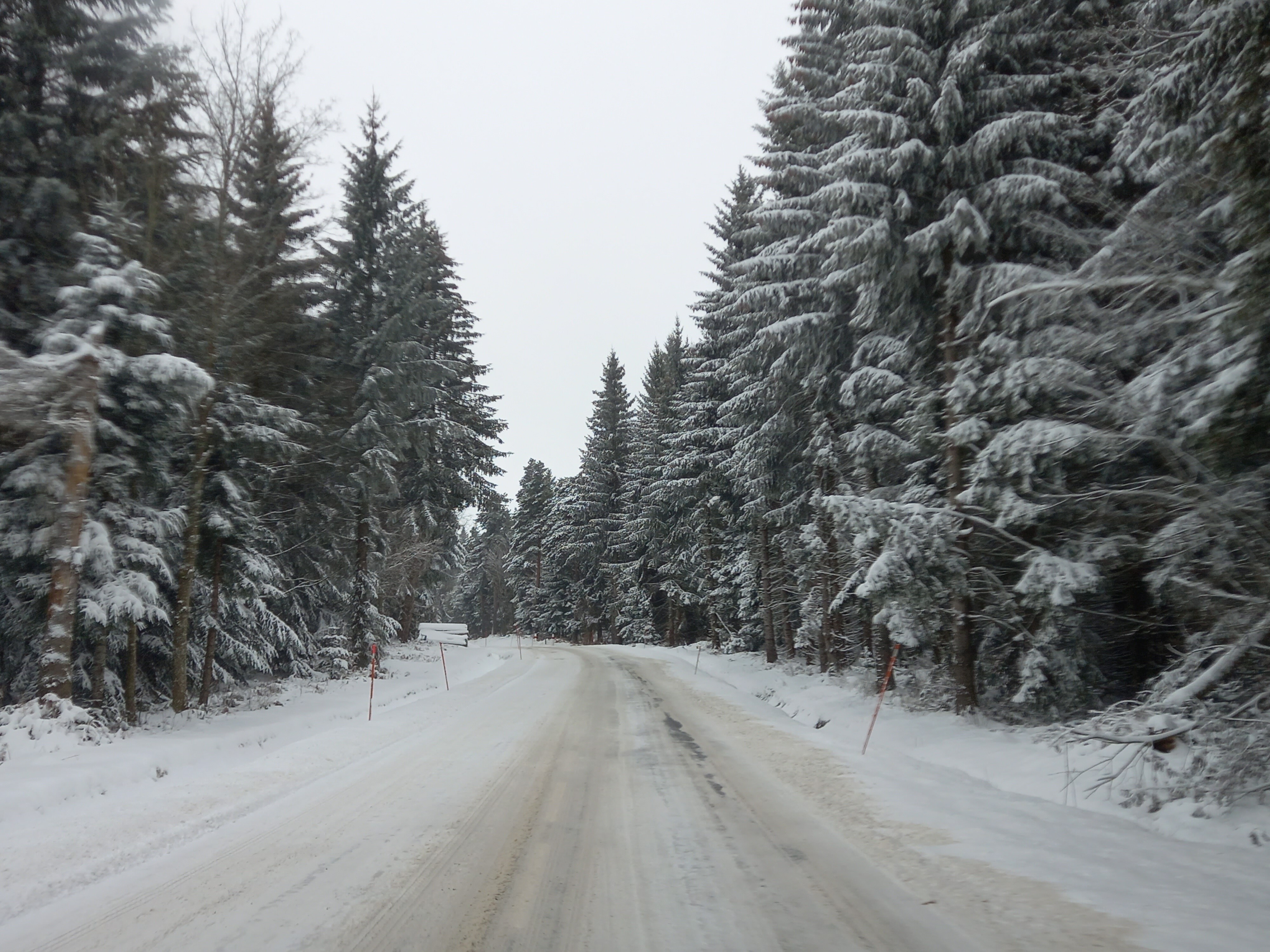 Suivi Du Temps Dans Le Massif Central Janvier 2024 Page 28 Le   20240108 104908 .bf7874e9d4928da4f31e69f6e520e1c4 