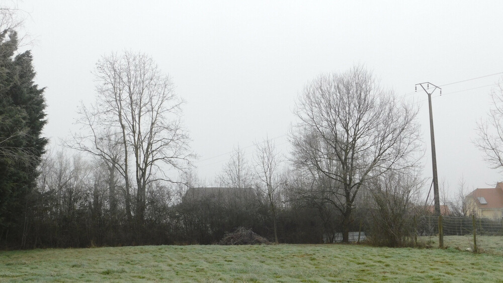 givre16jan24.thumb.JPG.2a3ea211f41b0986ccd8e063d3e3f17e.JPG