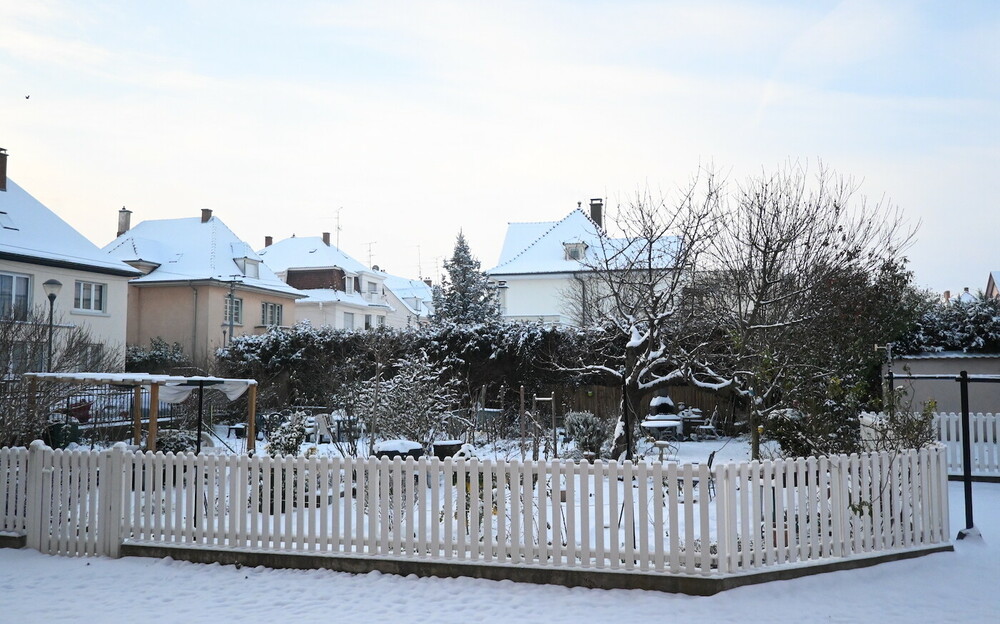 neige 10 Janvier.JPG