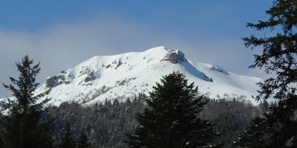 bec aigle depuis lioran 12 mars 2024.JPG