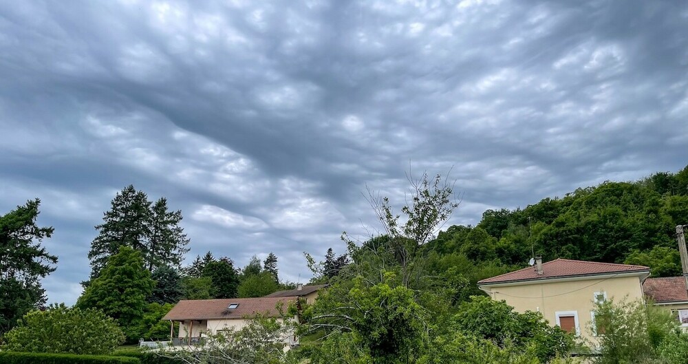 asperatus1.thumb.jpg.ee7e604fedd8e0e37b1863c79c3e61b4.jpg