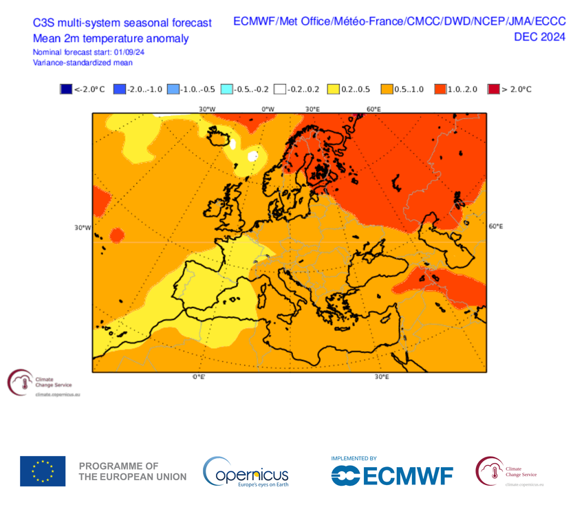 20240912085316-7b654828cfa85ed19cd5698ba9e0424a1b95bb02.png