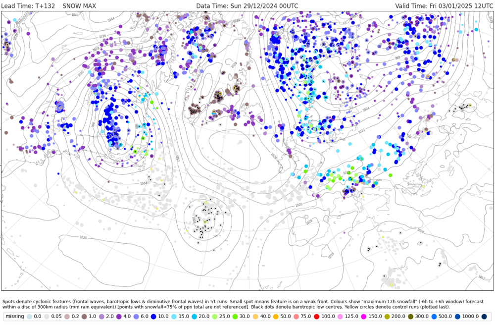 dalmatian_sno_max_12.thumb.png.1a416a521d229f686b2bde807f511cce.png