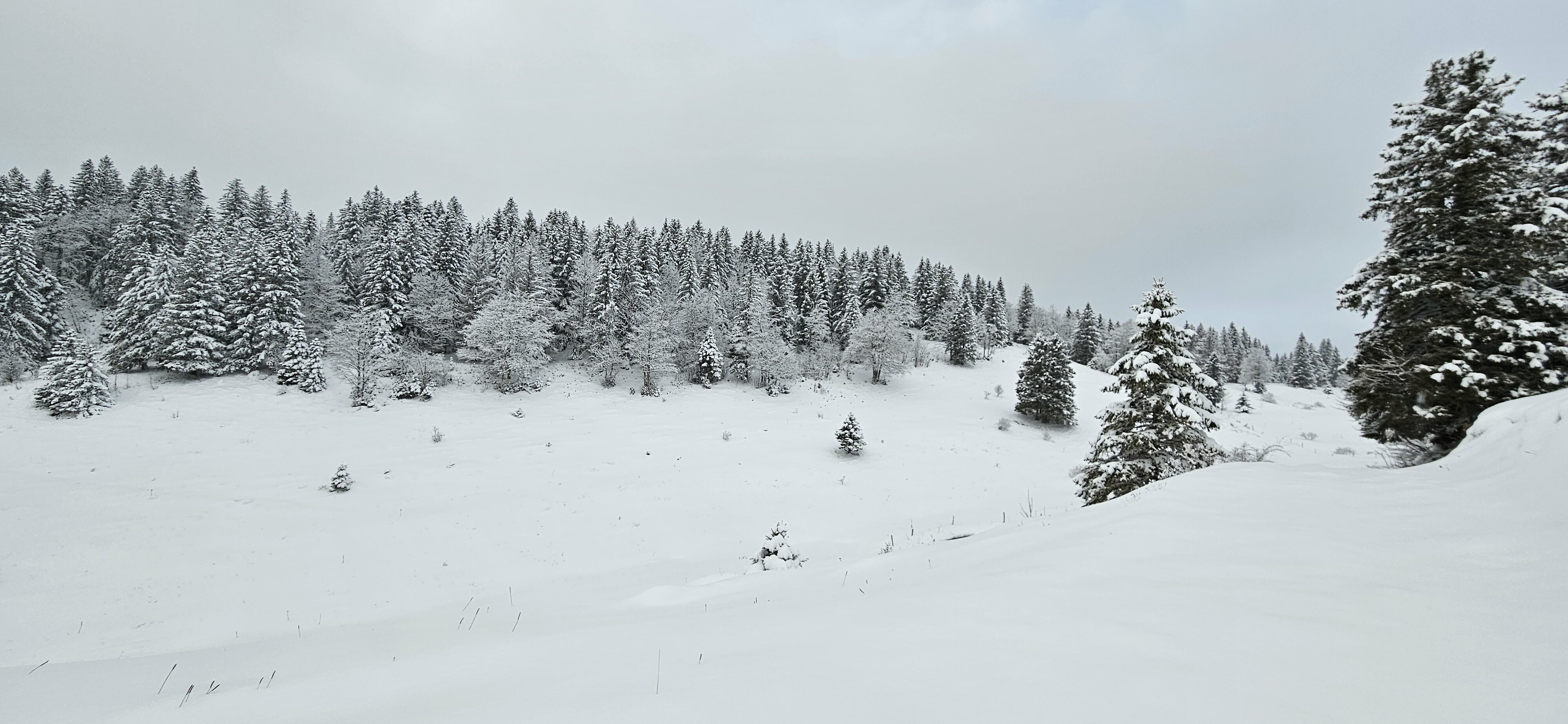 Printemps/été 2025 dans les Massifs de l’Est