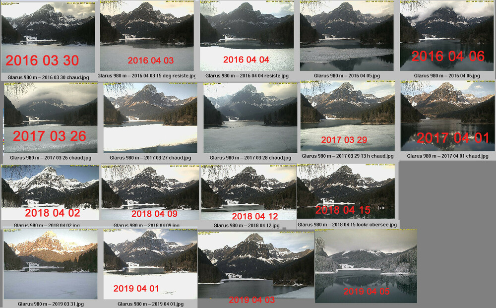 000degel2016-19.thumb.jpg.232f2d15e9fc611bd0ab3963122d9b70.jpg