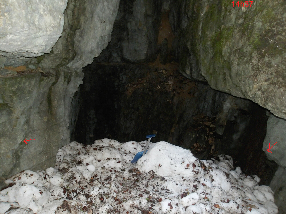 100_2313b.thumb.jpg.e4a3736b57e8a2e33c67125a242b7139.jpg