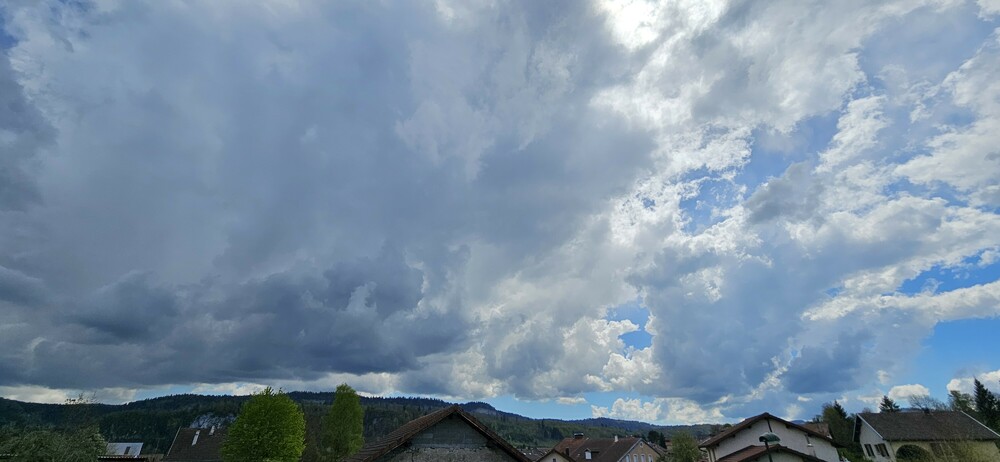 20250428_140611.jpg