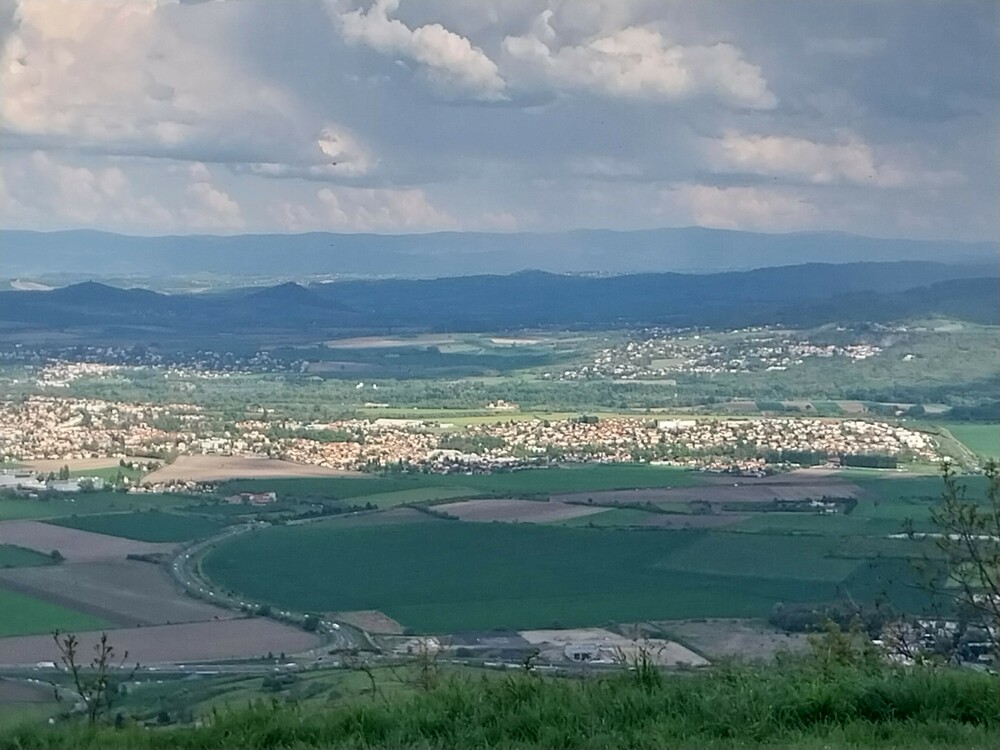 20250429_170242.jpg